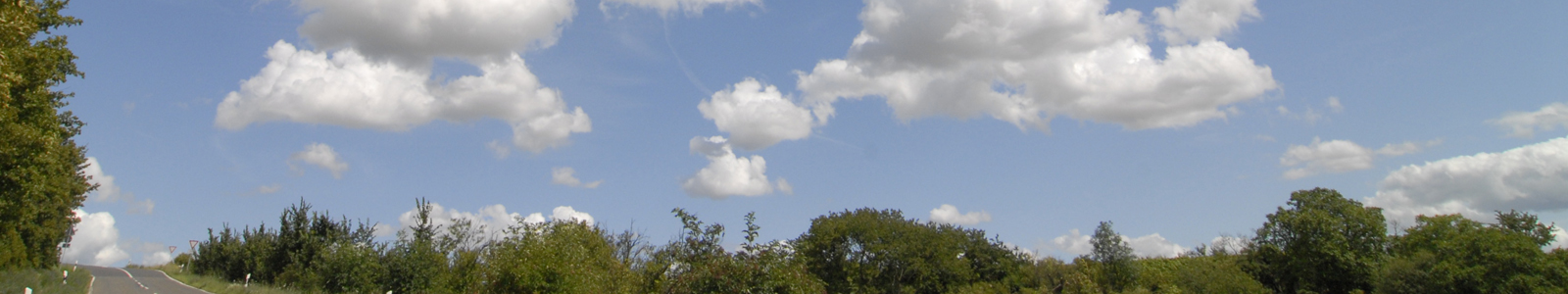 Bäume und Himmel mit hellen Wolken ©Feuerbach